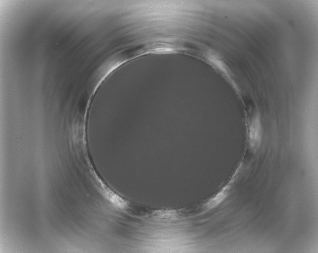 X0000066541194200603201418