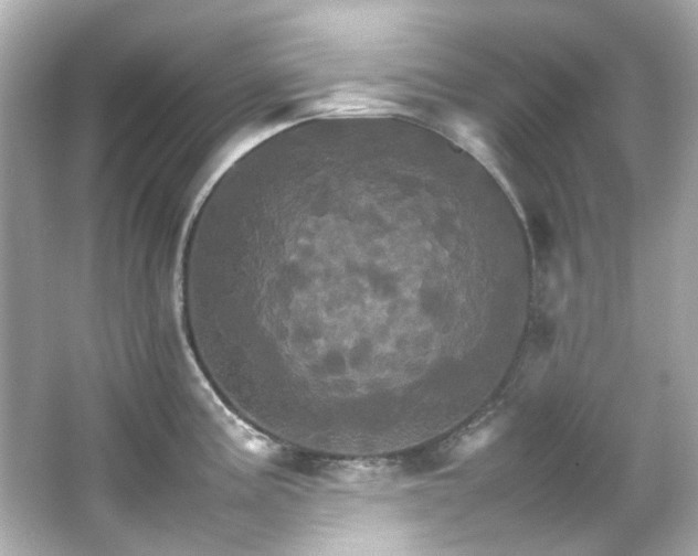 X0000066541195200603201417