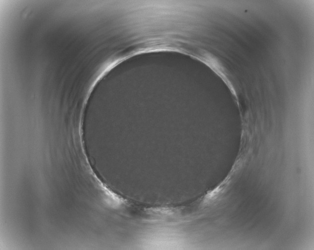 X0000066541197200603201417