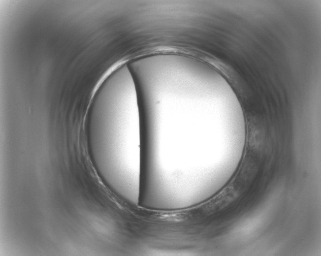 X0000066541198200603201417