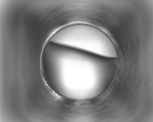 X0000066541199200603201417