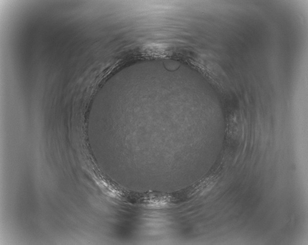 X0000066541201200603201417