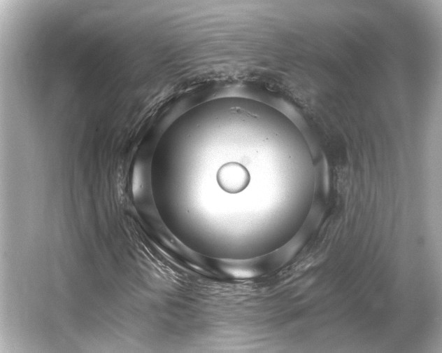 X0000066541202200603201417