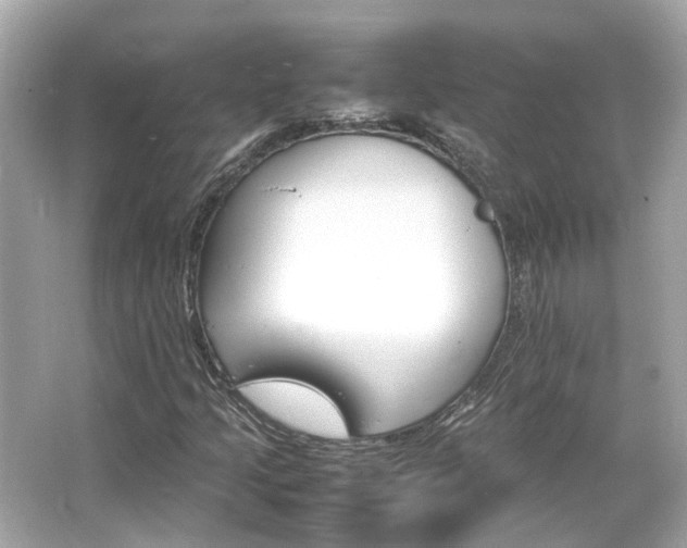 X0000066541205200603201417