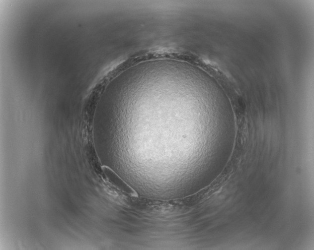 X0000066541207200603201417