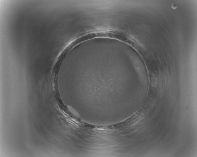 X0000066541208200603201417