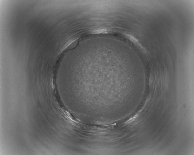 X0000066541209200603201417