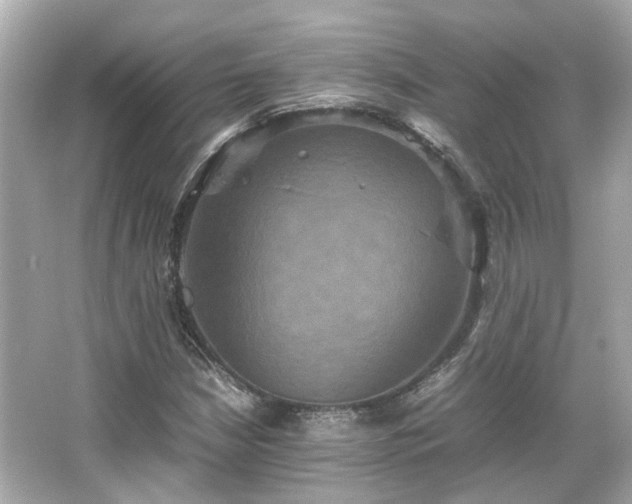 X0000066541210200603201417