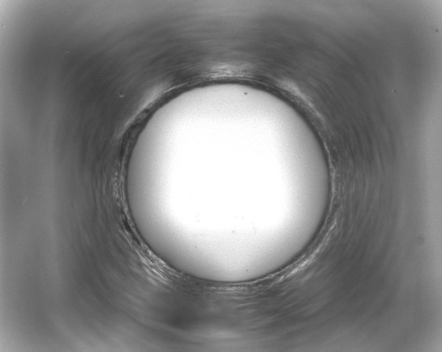 X0000066541211200603201417