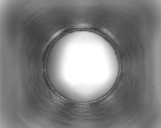 X0000066541213200603201417