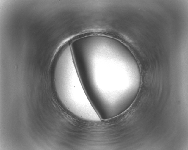 X0000066541214200603201417