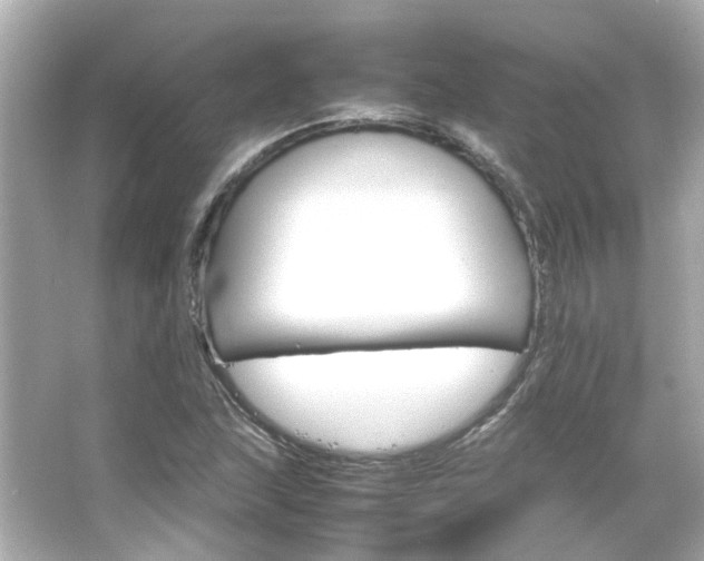 X0000066541215200603201417