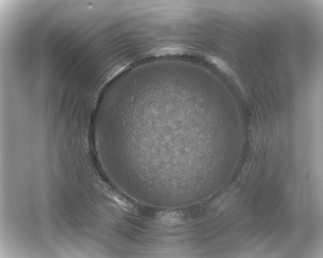 X0000066541217200603201417