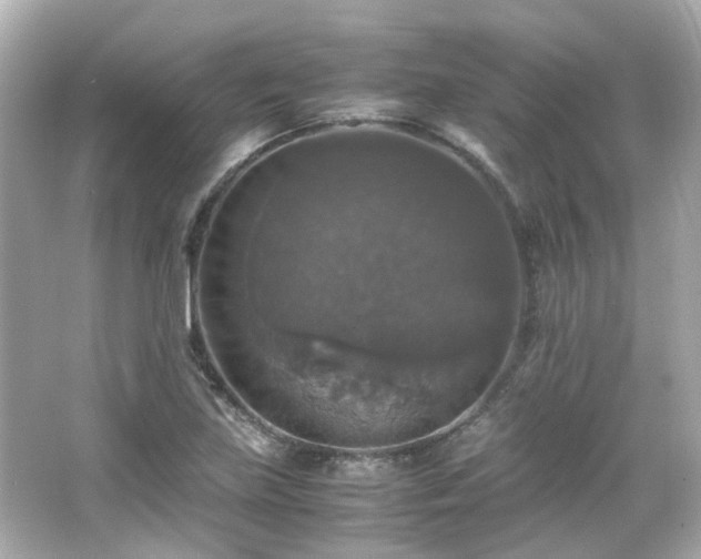 X0000066541219200603201417