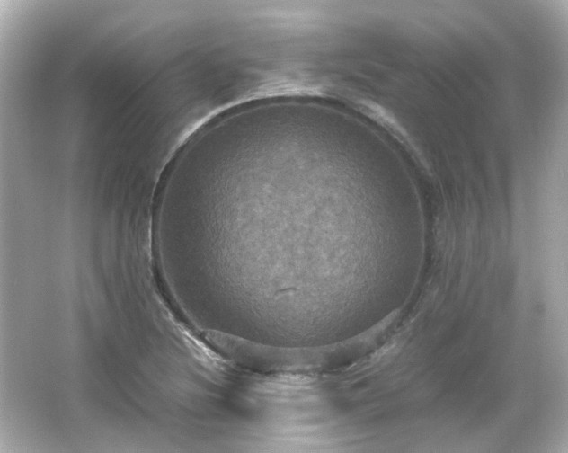 X0000066541220200603201417