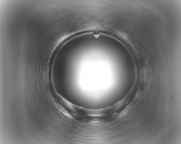 X0000066541222200603201417