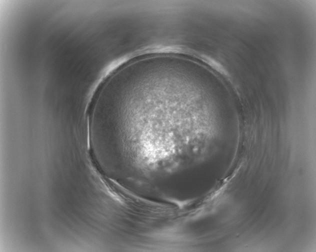 X0000066541223200603201417