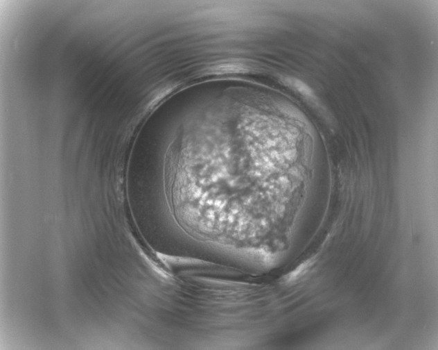 X0000066541225200603201417