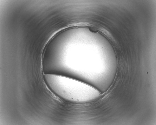 X0000066541228200603201417