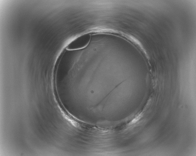 X0000066541231200603201417