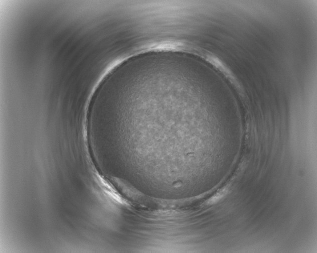 X0000066541232200603201417