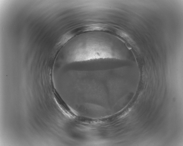 X0000066541233200603201417