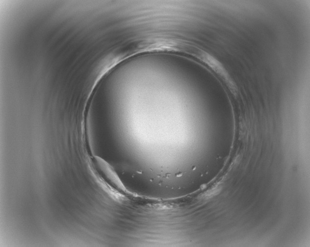 X0000066541234200603201417