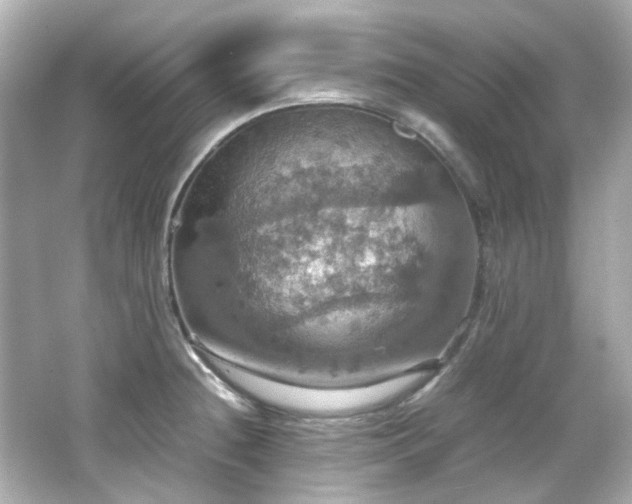 X0000066541236200603201417