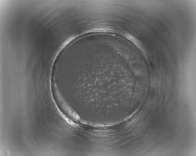 X0000066541237200603201417