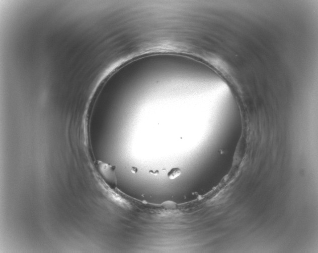 X0000066541238200603201417