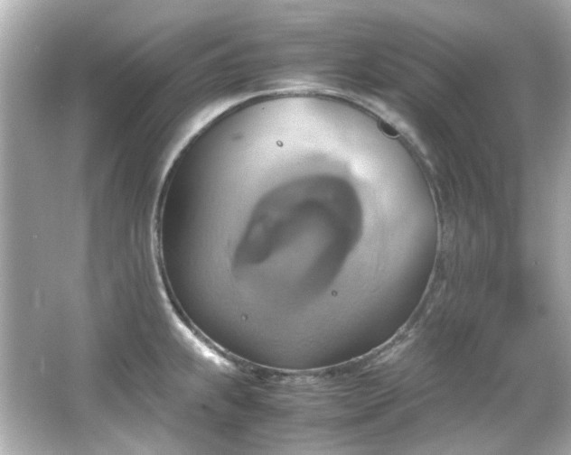 X0000066541239200603201417