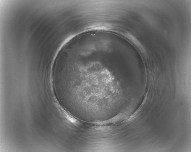 X0000066541240200603201417