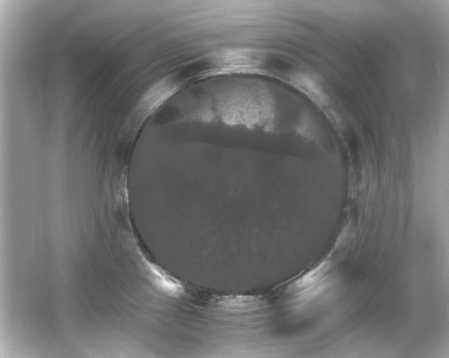 X0000066541241200603201417