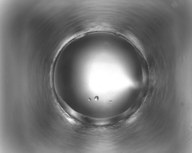 X0000066541246200603201417