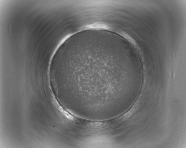 X0000066541248200603201417