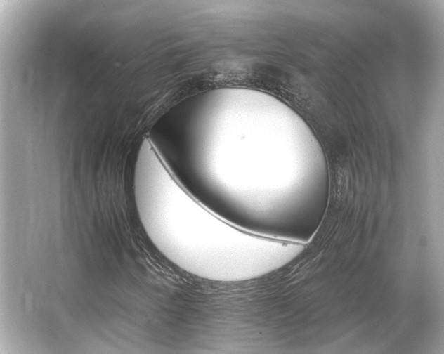 X0000066541250200603201417