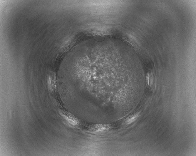 X0000066541251200603201417