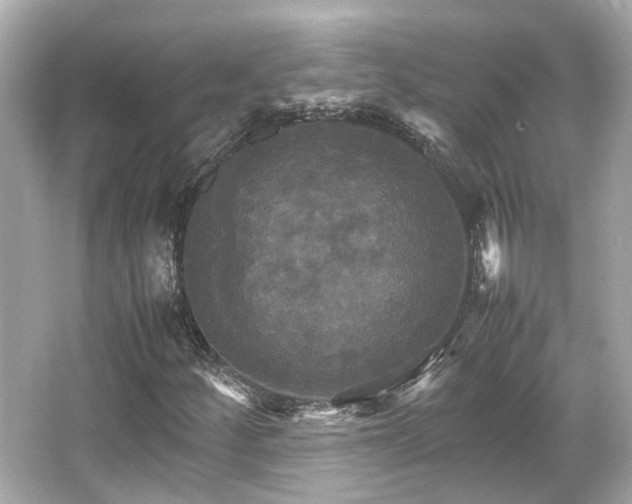 X0000066541252200603201417