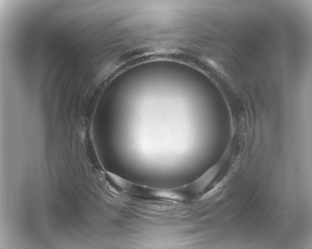 X0000066541257200603201416