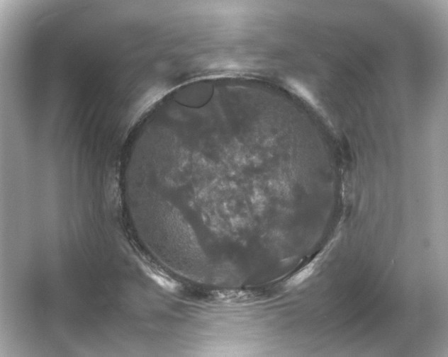 X0000066541259200603201416