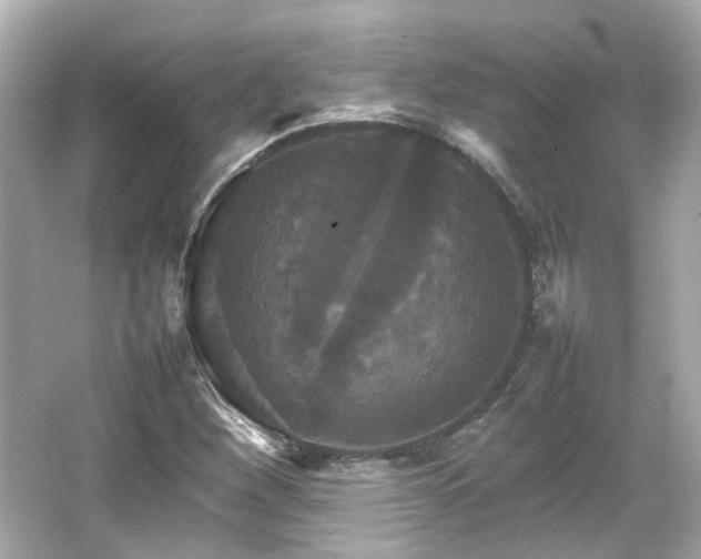 X0000066541260200603201416