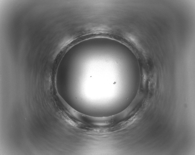 X0000066541261200603201416