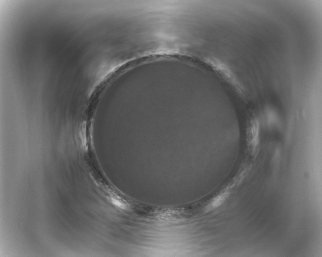 X0000066541262200603201416