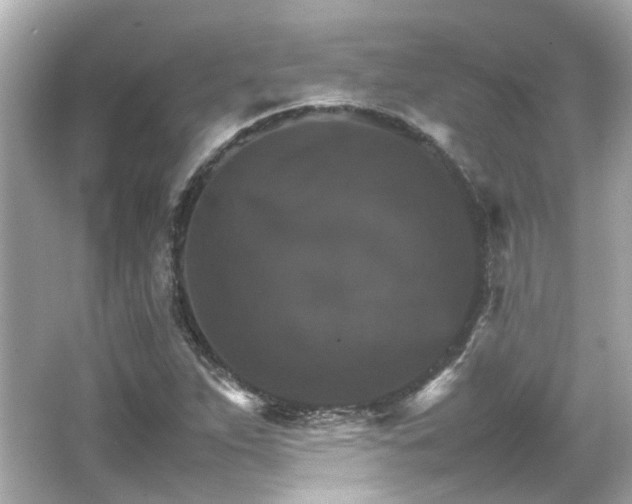 X0000066541263200603201416