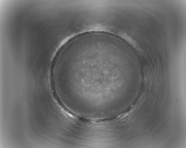 X0000066541264200603201416