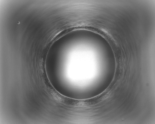 X0000066541265200603201416