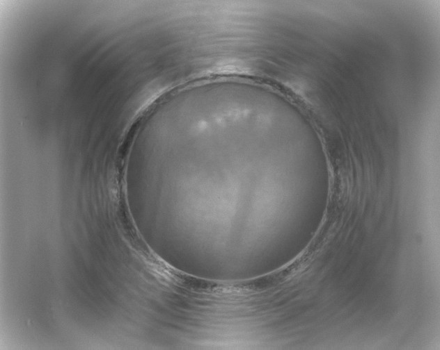 X0000066541266200603201416