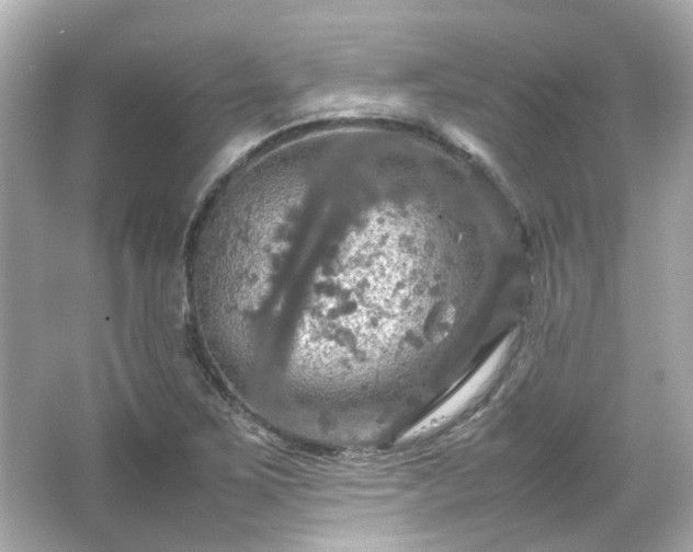 X0000066541267200603201416