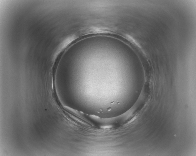 X0000066541269200603201416