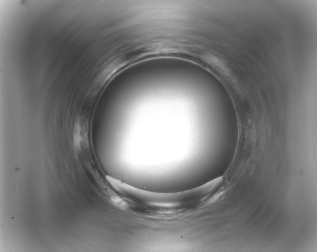 X0000066541273200603201416